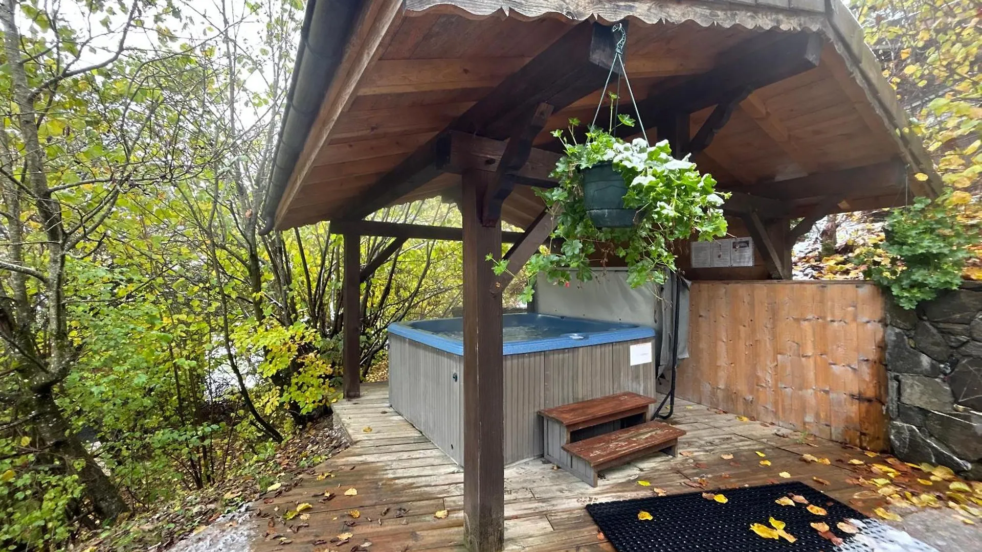 Chalet Adonis - Montriond, Morzine, Avoriaz Montriond