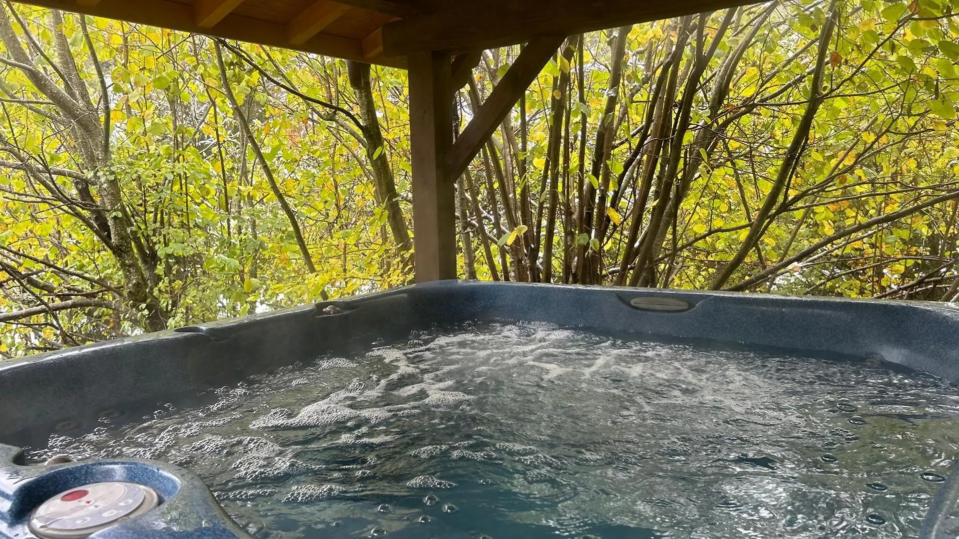 Chalet Adonis - Montriond, Morzine, Avoriaz